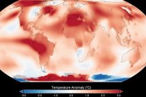 ИЗМЕНЕНИЕ КЛИМАТА. Эксперты спрогнозировали рекордную жару в 2024 году