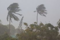 Тропический шторм «Идалия» сформировался в Мексиканском заливе