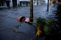 Во Флориде 245 тыс. человек остались без электричества из-за урагана «Идалия»