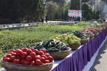 Сельскохозяйственные товары по доступным ценам. В Душанбе продолжаются ярмарки