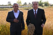 Глава государства Эмомали Рахмон в Фархорском районе ознакомился с деятельностью дехканского садоводческого хозяйства «Боги Нодир»