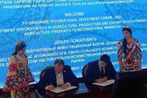«Точагропромэкспорт» и «Белтаможсервис» подписали соглашение о сотрудничестве