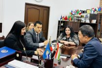 В  Российско-Таджикском (славянском) университете планируют открыть центр китайского языка и культуры