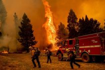 Более 4000 человек эвакуировали из-за лесного пожара в Калифорнии
