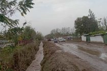 Сошедшие в Пяндже сели нанесли урон жилым домам и   приусадебным участкам