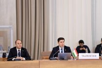 Таджикистан предложил руководящему Совету Специальной программы ООН приоритетные направления деятельности