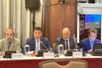 В Душанбе состоялось совместное заседание Рабочей группы по интегрированному управлению водными ресурсами
