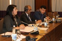 В Душанбе обсудили вопросы финансирования и реализации международных экологических конвенций