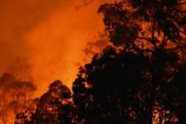 18 домов уничтожены в результате лесного пожара в Западной Австралии