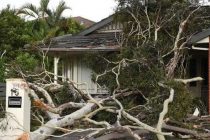 Более 130 тысяч домов в Австралии остались без света из-за шторма