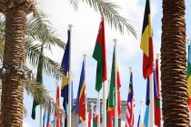 Делегаты саммита COP28 приняли декларацию о мерах в области сельского хозяйства, продовольствия и борьбы с изменением климата