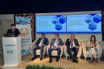 В Дубае обсудили вклад Программы реформы водного сектора Таджикистана в решение вопросов адаптации к изменению климата