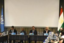 Восьмое совещание Региональной группы экспертов из стран Азии проходит в Душанбе