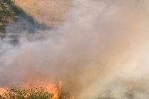 В ЮАР борются с крупным лесным пожаром