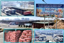 ЗАПАСЫ НА ЗИМУ. В специальных холодильных камерах в Душанбе зарезервировано более 20 тысяч тонн продовольственной продукции