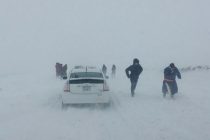 В Монголии объявлено предупреждение о снежных бурях