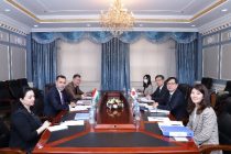 В Душанбе обсудили вопросы подготовки заседаний в рамках Диалога «Центральная Азия + Япония»