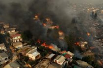 Число жертв лесных пожаров в Чили достигло 99 человек