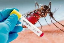 Феномен Эль-Ниньо вызвал вспышку лихорадки денге в Бразилии