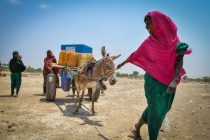 ООН выделила 17 млн долларов США на помощь пострадавшей от засухи северной Эфиопии