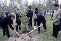 ПОСАДИ ДЕРЕВО! Дипломатический корпус в Таджикистане  принял участие в акции по озеленению в парке Садриддина Айни столицы