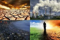 Эксперт ООН: «Корпорации и сверхбогатые люди несут ответственность за загрязнение окружающей среды»