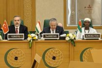 Таджикистан призвал международное сообщество решить палестинскую проблему