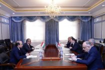 Парламентарии Грузии провели встречу с молодыми сотрудниками дипломатической службы Таджикистана