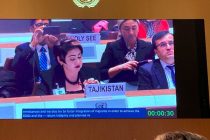 Делегация Таджикистана приняла участие во втором региональном форуме по вопросам, связанным с реализацией Глобального Договора о безопасной миграции