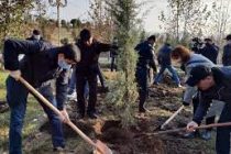 ПОСАДИ ДЕРЕВО! В Таджикистане продолжается республиканское движение по посадке деревьев