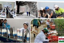 В Таджикистане значительно сократилось количество безработных граждан
