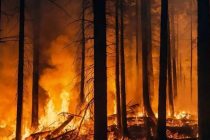 Более 2 тысяч человек борются с лесным пожаром на юго-западе Китая