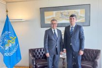 В Женеве обсуждено сотрудничество Таджикистана и Всемирной организации здравоохранения