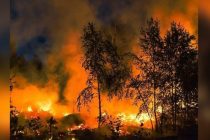 В Монголии выпущено предупреждение о лесостепных пожарах