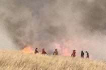 В монгольском территориально-административной единицы Сухэ-Батор огнем уничтожено 2,8 тыс. га земли