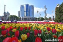 Начался конкурс «Лучшая фотография города Душанбе»