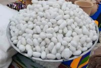 В районе Рудаки полностью выполнен план по производству коконов