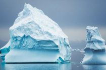 Таяние льдов Антарктики, зафиксированное в 2023 году, привело к необратимым переменам