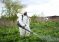 Для сохранения урожая в Хатлоне химикатами обработали более 42 тысяч гектаров сельхозугодий