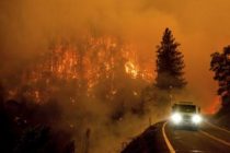 Частота крупных лесных и степных пожаров удвоилась за последние 20 лет