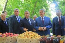Тиргон – праздник земледельцев. Сегодня в Душанбе отметили праздник Тиргон