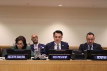 Постоянный представитель Таджикистана возглавил годовое заседание Исполнительного совета Организации Объединенных Наций – Женщины