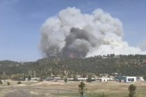 Один человек погиб в результате лесных пожаров в американском штате Нью-Мексико