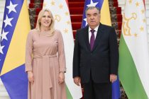 Лидер нации Эмомали Рахмон принял члена Президиума Боснии и Герцеговины Жельку Цвиянович