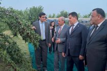 Президент Группы Исламского банка развития посетил вишневый сад в Гиссаре
