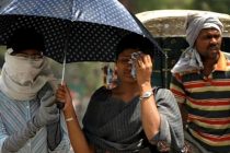 Свыше 50 человек погибли из-за жары в Индии