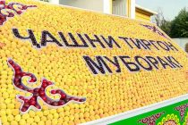 Завтра в «Парке Ирам» Душанбе состоится праздник Тиргон, празднество абрикосов и выставка «Сухофрукты Таджикистана»