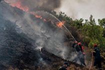 В Греции произошло 62 пожара из-за жары и штормового ветра