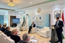 В Эр-Рияде по инициативе Посольства Таджикистана состоялся брифинг по Душанбинской водной конференции