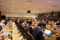 В ООН обсудили сохранение мархура: стратегии и плодотворный опыт